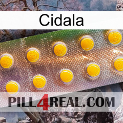 Cidala new11